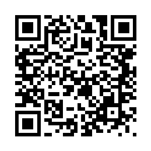精英队中也不是囊括了六支家族中所有的高手二维码生成