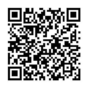 精锐的德军是无法大规模运输到中国来防御俄军的二维码生成