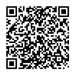 精锐的皇家侍卫以及从王安石那里借来的提刑司快手埋伏在草料场二维码生成