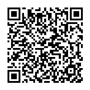 精魄里面拥有培养出这个人的所有天赋和力量还有神魂的精华所在二维码生成