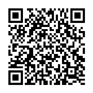 糅合这两门无上神功于自身基础并专注剑法才是理所当然的选择二维码生成