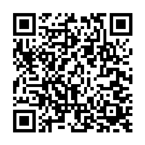 糟糕到不得不借用他们这些还未踏入圣境界武者们的力量二维码生成