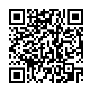 系统不仅可以模拟各种武器装备的特性二维码生成