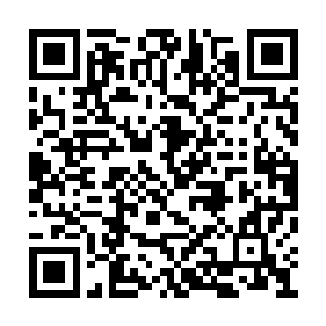 系统也不允许任何一个觉醒者一直不参与副本的二维码生成