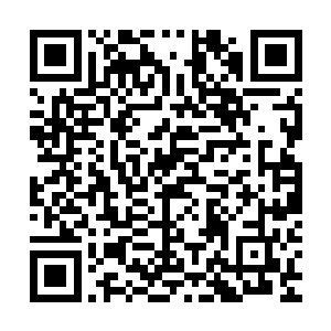 系统似乎是对秦方一直都不去完成这几个终极任务有些不高兴了二维码生成
