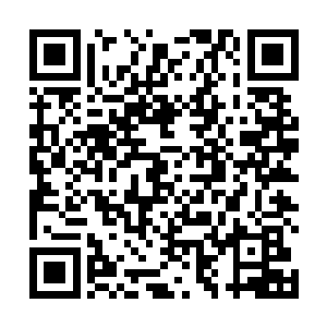 系统已经帮宿主物色了一个在主神空间历练的最佳人选二维码生成