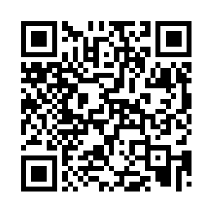 系统由两种英特尔微处理器芯片驱动二维码生成