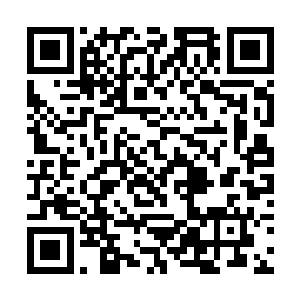 系统进化后的能力已经强到了这等近乎于逆天的程度二维码生成