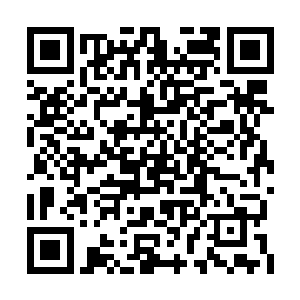 系统那被骸骨山双臂击溃的丝线护罩也再度重生二维码生成