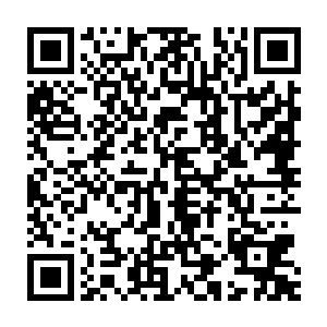 素净到不染一丝风尘得瓜子脸像是从冰霜雪玉里面雕刻出来的艺术品二维码生成