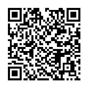 素宴的进餐过程也是一个一边享受高雅的用餐环境二维码生成