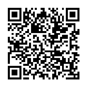 索尼娅说她还礼节性的邀请了总统参加在u酒店的庆祝酒会二维码生成
