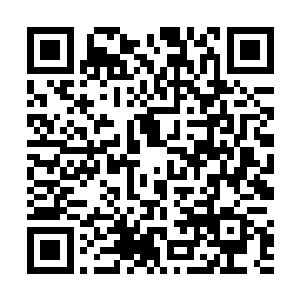 索性让玉帛堂拣那轻薄透气颜色好的布料送了几十匹来二维码生成