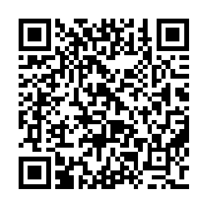 索性这次苏凡出来虽然抱着提前拔除隐患的想法二维码生成