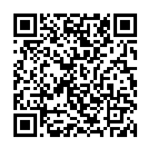 索菲亚一块冲出来的时候听杨风和索菲亚说过这个事二维码生成