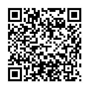 索菲亚的父亲多宝神帝帝纵然战斗力比战天宗宗主战狂差上一些二维码生成