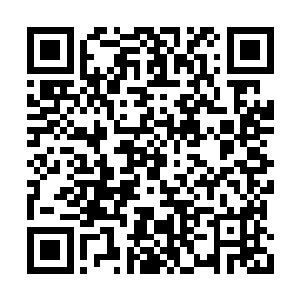 索菲亚看到杨风的目光也集中在九月落地花面前二维码生成
