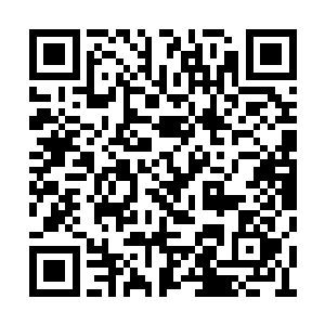 紧在感到那沉重的劲道前一秒打断了林锐的拳势二维码生成