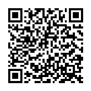 紧接着一个十数丈大小的金甲巨人突然出现在血海之中二维码生成