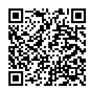 紧接着一个身形窈窕的绝美女子出现在大厅门口二维码生成