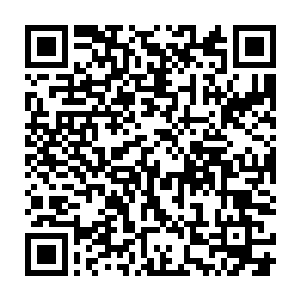 紧接着一条漆黑的浑身长满如针一样尖刺的野兽从旁边草丛中窜了出来二维码生成