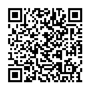 紧接着一直与那域主争斗的人族八品便一掌拍出二维码生成