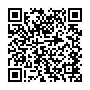 紧接着一股恐怖的杀意也瞬间从他的身上散发出来二维码生成