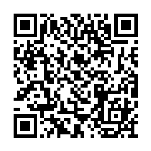 紧接着一股磅礴的力量从苏凡的拳头上再次涌出二维码生成