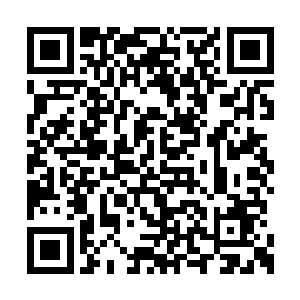 紧接着一道绿色身影掠向只剩一抔渣渣的鬼宗主二维码生成