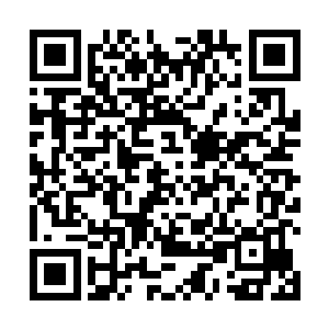 紧接着乔公公和云霞等云家子弟也都陆续飞了过来见礼二维码生成