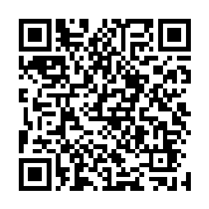 紧接着从山洞内传来了一阵令人毛骨悚然的凄厉的嘶鸣之声二维码生成