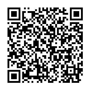 紧接着众人只见原本那恐怖的大阵直接出现了一个直径三米左右的通道二维码生成