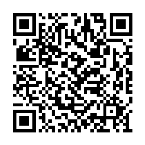 紧接着众人商议了一下关于娑娜事情的具体计划二维码生成