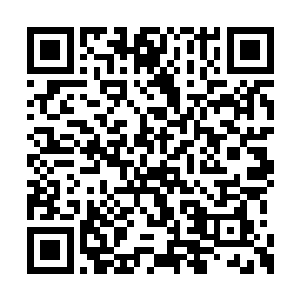 紧接着便见那远古圣猿一拳对着附近的众人砸下二维码生成