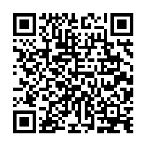 紧接着又是简单暴力的一拳直接砸在了禹庆雨的脸庞之上二维码生成