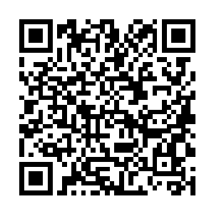 紧接着右手如同水蛇一般直接在男子的手臂上绕来绕二维码生成
