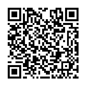 紧接着商队也是若一条长蛇那样的慢慢开始行动了二维码生成