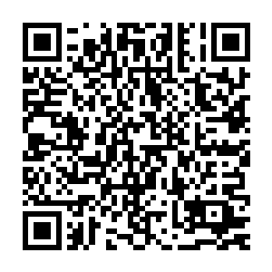 紧接着天空中黑压压令人惊惧的紫金雕和飞天鹏也逐渐消散在天边二维码生成