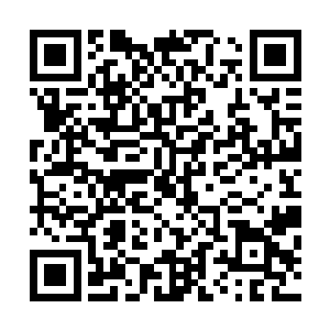 紧接着她就感觉自己已经启动了一半的秘术被强行中断掉了二维码生成