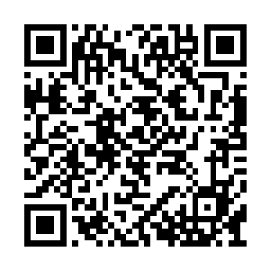 紧接着如同实质一般的杀气就将妖帝笼罩了起来二维码生成
