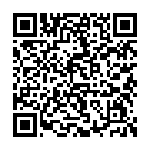 紧接着就是被邵铭清和安哥俾搀扶着的谢老夫人二维码生成