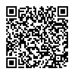 紧接着就献宝一样从空间戒指取出了妩五枚泛着冰冷寒光的冰之晶心二维码生成