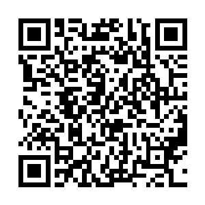 紧接着抵达了花果山然后便被花果山的规模给震撼到二维码生成