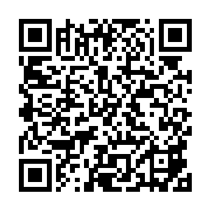 紧接着拿起酒杯跟着众人碰了下一口酒水直接喝下了肚子二维码生成