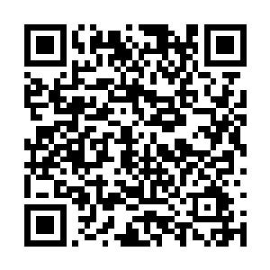 紧接着是此起彼伏的哭喊和争先恐后地朝后面涌来二维码生成