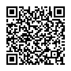 紧接着潘德拉的军务与政务系统完全被控制住了二维码生成