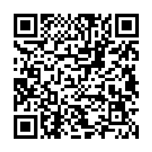 紧接着紫青剑灵的本源力量也从他右手中迸射而出二维码生成