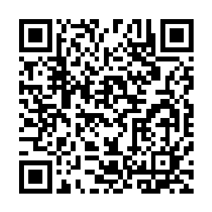 紧接着自己一边的顶级身后期以上的高手一下子全部被缠住二维码生成