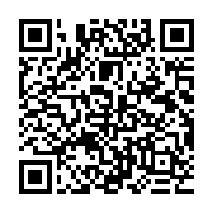 紧接着钥匙开门的响声把正准备替自己泡一杯茶的陆为民惊动了二维码生成