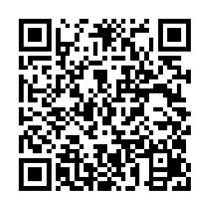 紧接着食脑兽的声音再一次传到了龙傲天的耳中二维码生成